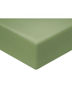 Простыня Моноспейс зеленый на резинке На резинке Зеленый Ecotex