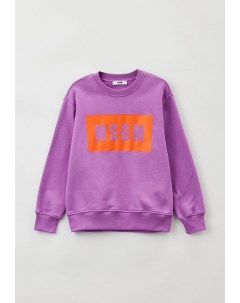 Свитшот Msgm kids