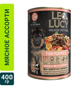 Влажный корм для щенков Leo Lucy паштет мясное ассорти с овощами 400г упаковка 24 шт Петкорм