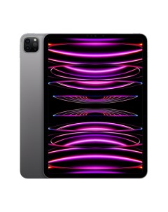 Планшет iPad Pro 12 9 2022 1TB Wi Fi Space Gray MNXW3 Apple