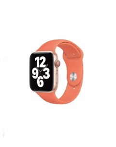 Ремешок для Apple Watch WIWU Single Color Silicon watch band 38 40mm Orange Nobrand