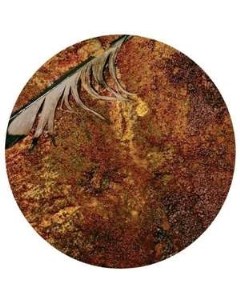Nine Inch Nails The Downward Spiral 180g Picture Disc Geffen records