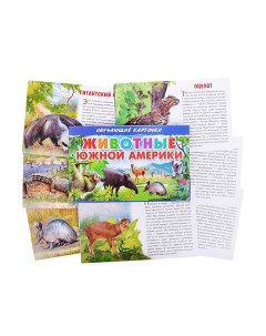 Обучающие карточки Животные Южной Америки Литур