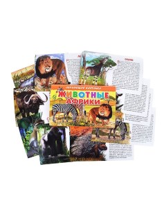 Обучающие карточки Животные Африки Литур