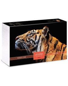 Пазл 500 эл Premium Legend Art Series Взгляд тигра подарочная коробка Постер Hatber