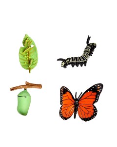 Набор фигурок для детей Этапы развития бабочки 4 фигурки 9327146 Кнр