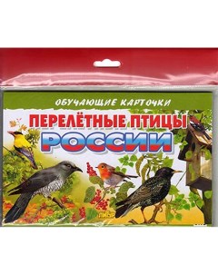 Обучающие карточки Перелетные птицы России Литур