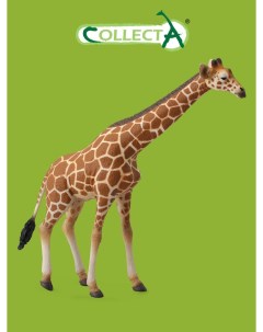 Фигурка животного Сетчатый жираф Collecta