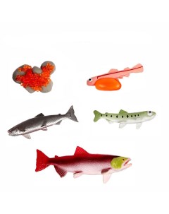 Набор фигурок для детей Этапы развития рыбки 5 фигурок 9327147 Кнр