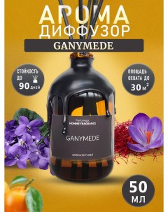 Ароматический Диффузор Ganymede 50мл Parfumagic