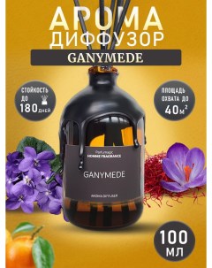 Ароматический Диффузор Ganymede 100мл Parfumagic