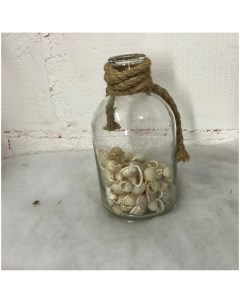 Декоративное изделие Ракушки в бутыле 24 см Evis