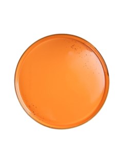 Тарелка с бортиком Церера d 25 5 см цвет оранжевый Magistro