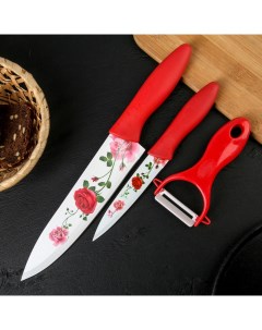 Набор кухонный Нарцисс 3 предмета 2 ножа 12 см овощечистка 20x4 см красный Доляна