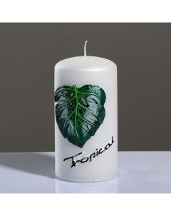 Свеча цилиндр Tropical 6x11 5 см жемчужный белый Trend decor candle