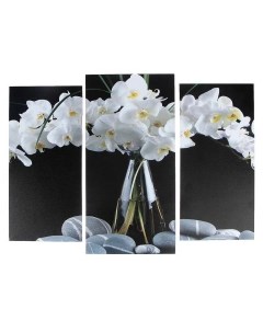 Модульная картина Орхидеи в вазе 2 25х52 1 30х60 60х80 см Nobrand