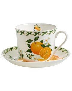 Чашка с блюдцем Фруктовый сад Апельсин 55515 Белый зеленый оранжевый Maxwell & williams