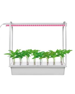 Светодиодный светильник для растений Гидропоника ULT P44B 10W SPSB IP40 Aqua Simple Uniel