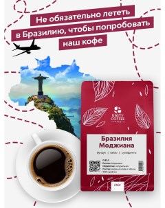 Свежеобжаренный кофе Бразилия Моджиана с помолом под турку 250 грамм Unity coffee