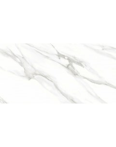 Керамогранит Venezia White Glossy F2010821120G 60х120 см Azario