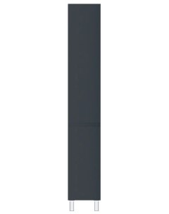 M45ACSR0306GM Tender шкаф колонна напольный правый 30 см графит Am.pm.