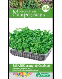Семена микрозелени Базилик овощной 31303 1 шт Евросемена