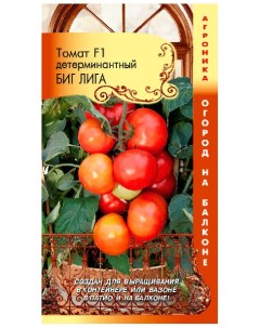 Семена томат Биг лига F1 221964 Плазмас
