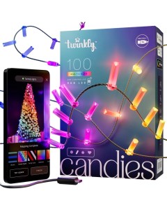 Световая гирлянда новогодняя Candies TWKC100RGB G 6 м разноцветный RGB Twinkly