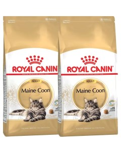 Сухой корм для кошек MAINE COON ADULT для мэйн кун 2шт по 0 4кг Royal canin