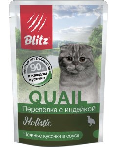 Влажный корм для кошек Holistic перепелка с индейкой 6шт по 85г Blitz