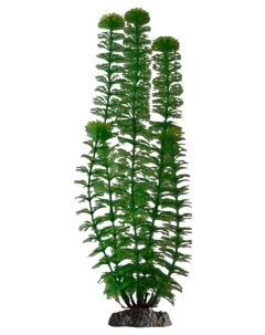 Искусственное растение Ambulia с грузом 34 см Sweet home