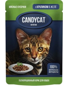 Влажный корм для кошек кролик в желе 85г Candycat