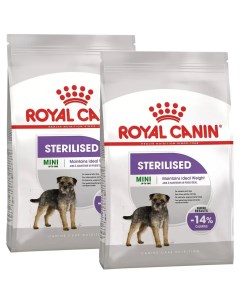 Сухой корм для собак MINI STERILISED ADULT для стерилизованных 2шт по 3кг Royal canin