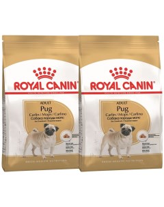 Сухой корм для взрослых собак мопс Pug Adult 15 кг Royal canin