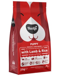 Сухой корм для собак для щенков средних и крупных пород с ягненком и рисом 3 кг Havlife