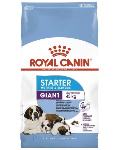 Сухой корм для собак Giant Starter Mother Babydog 4 кг Royal canin