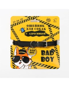 Ошейник для собак Bad boy с адресником 27 34 см Пушистое счастье