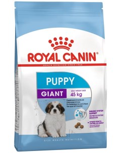 Сухой корм для щенков Giant Puppy для крупных пород 2шт по 15кг Royal canin