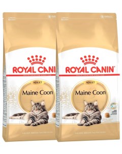 Сухой корм для кошек Maine Coon Adult для породы мэйн кун 2 шт по 2 кг Royal canin