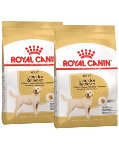 Сухой корм для собак Retriever Adult 2 шт по 12 кг Royal canin