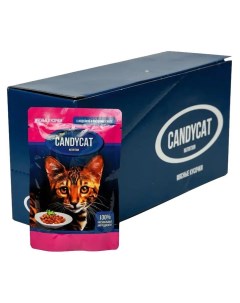 Влажный корм для кошек с индейкой и овощами в желе 24шт по 85г Candycat