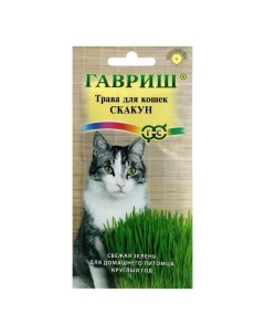 Лакомство для кошек Семена Скакун трава 2 шт по 10 г Nobrand