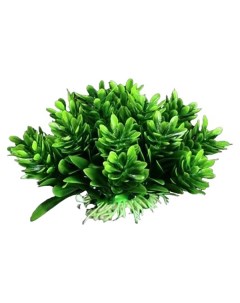 Искусственное растение аквариумное зеленый 7x8 см 5 шт Пижон