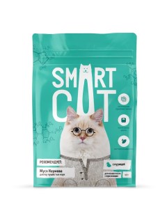 Сухой корм для кошек для стерилизованных с курицей 2 шт по 0 4 кг Smart cat