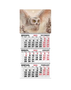 Календарь настенный 3 х блочный Трио Стандарт 2024 295х710 Полет совы К209 2шт Attache
