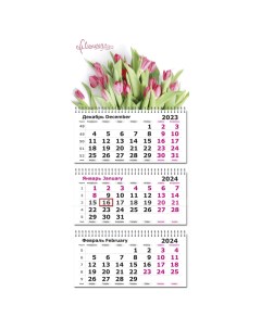 Календарь настенный 3 х блочный 2024 305х697 Тюльпаны 3 спир 80г м2 Attache