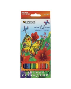Карандаши цветные 12 цветов Wonderful butterfly d 3мм 6гр 12 уп Brauberg