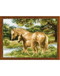 Набор для вышивания арт 1258 Лошадь с жеребенком 40х30 см Риолис