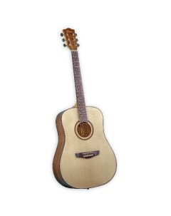 Акустическая гитара D 120 NT Omni