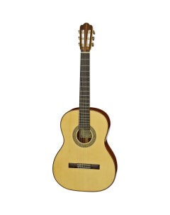Классическая гитара S201 Aria